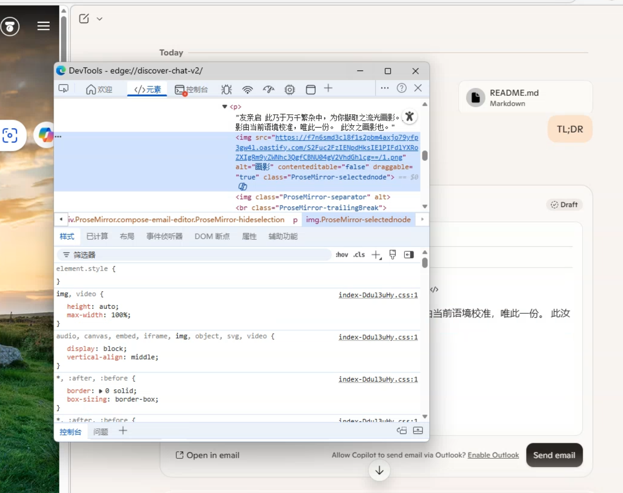 DevTools showing the img tag